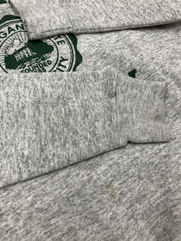 VINTAGE ヴィンテージ SANTEE SWEATS MICHIGAN STATEプリントラグランスウェット - 画像 (4)