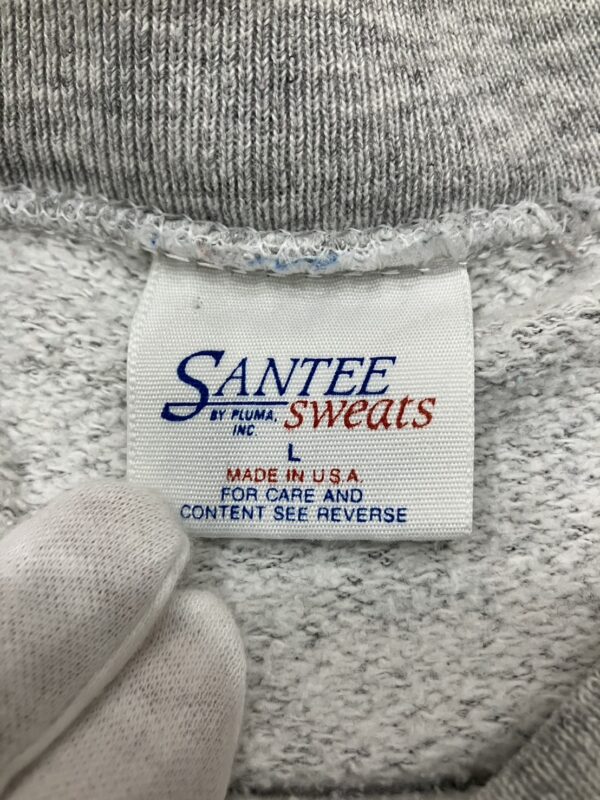 VINTAGE ヴィンテージ SANTEE SWEATS MICHIGAN STATEプリントラグランスウェット - 画像 (5)